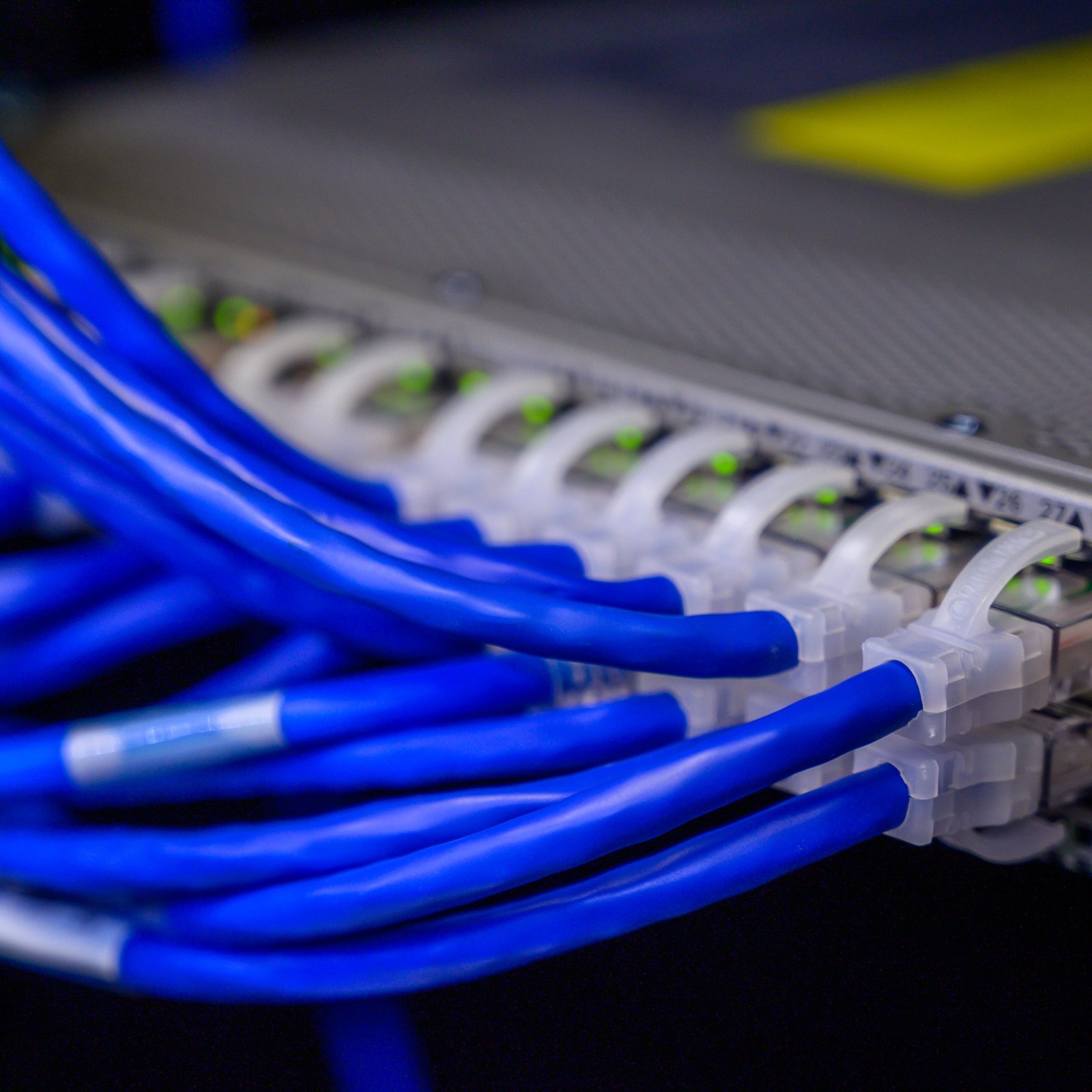 Blå nätverkskablar anslutna till en patchpanel i ett rack – professionell nätverksinstallation