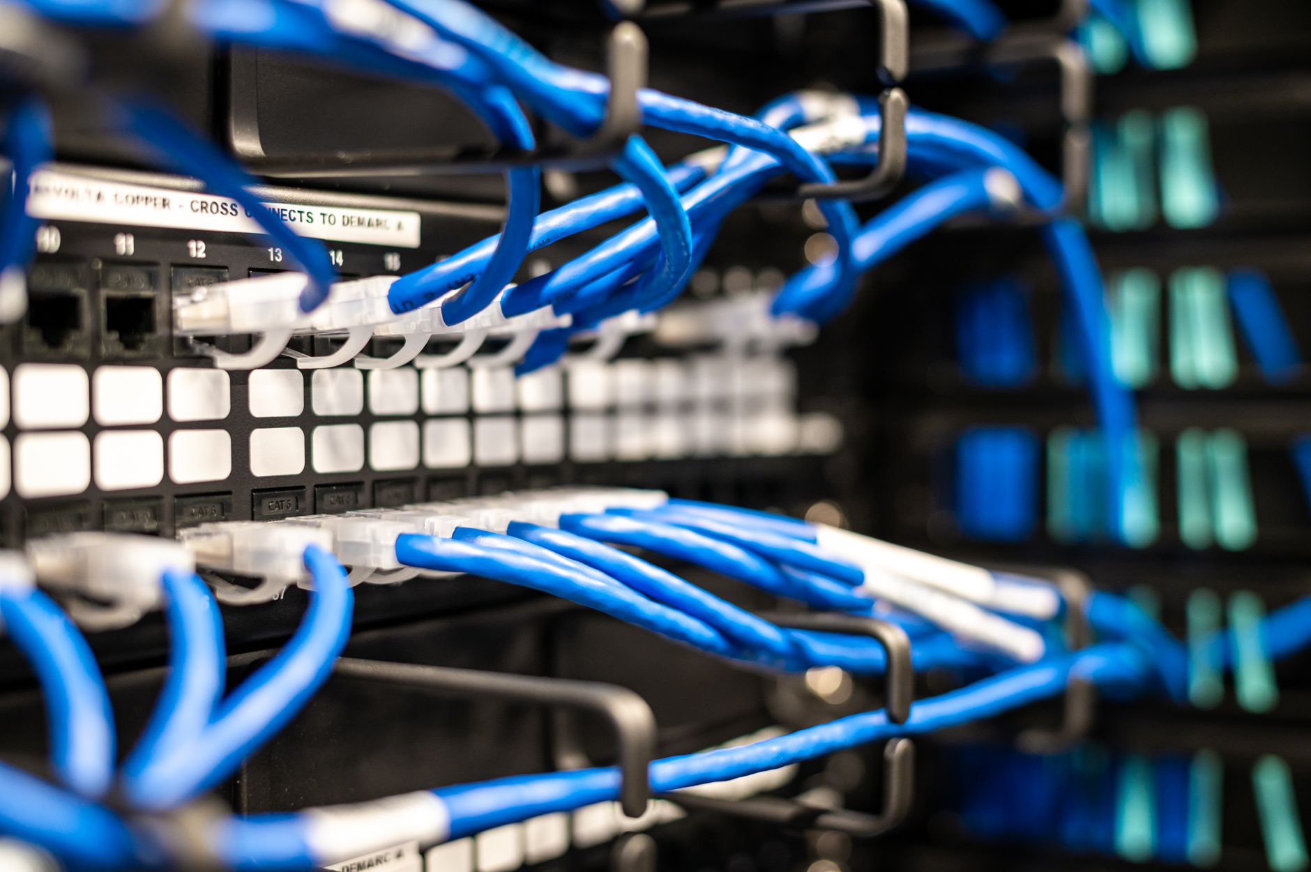 Blå nätverkskablar i patchpanel – professionell nätverksinstallation i Stockholm